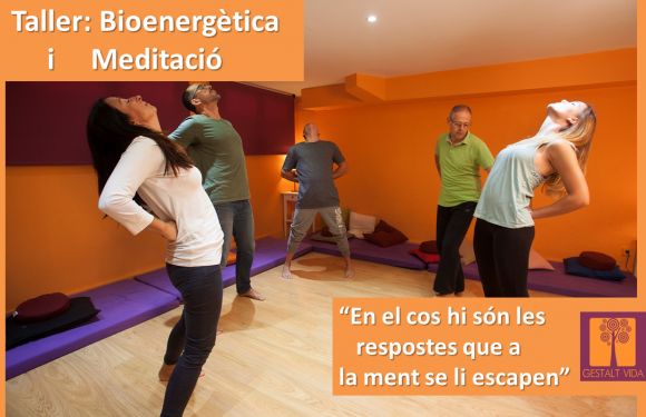 Taller: Bioenergètica i Meditació